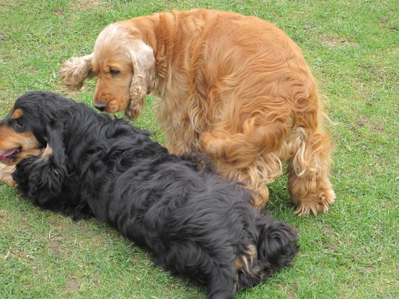 l Arny-10.4.2010.JPG